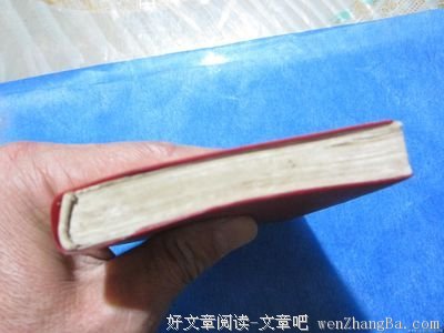 最经典的盛世爱精彩语录