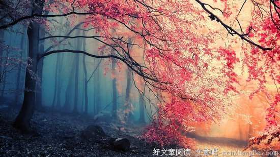关于辽阔的座右铭