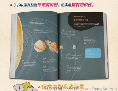 百问百答 | 详解文玩核桃缩尺缘由