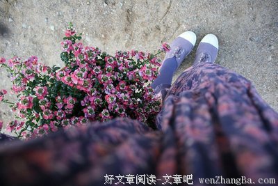 是选择现实，还是选择爱情？