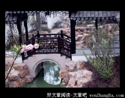 《桃花债 上》的读后感10篇