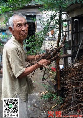 《打工旅行》读后感10篇