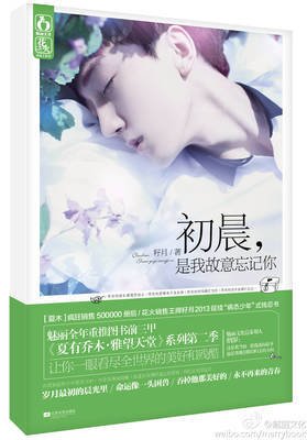 《初晨，是我故意忘记你2》经典语录
