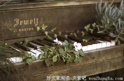 卡农格言警句