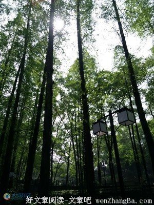 大学毕业，初入社会，怕我无法面对人性的丑恶......