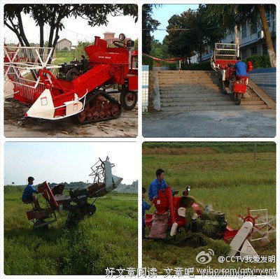 《捕鼠者》经典观后感10篇