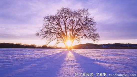 陈晓爽：雪的诗意 | 原乡文学奖征文（诗歌）