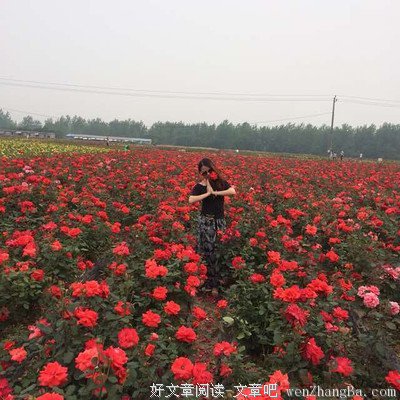 比“性无能”更可怕的是“爱无能”