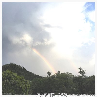 姑娘，为何大雨滂沱你没放弃我，雨过天晴你却转身离开？