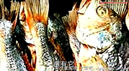 最新的周星驰的名言名句