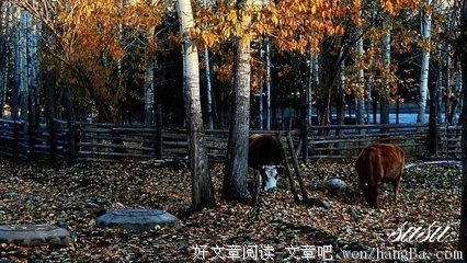 关于素素名言名句