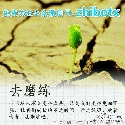 关于尽心尽力的唯美语录