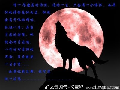 15条关于缘木求鱼的经典语句