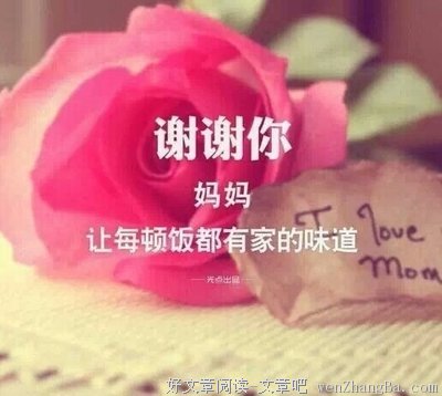 2017，谢谢你