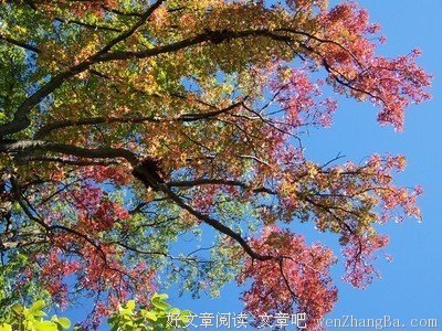 神的旨意你的目的|引言