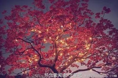 今夜，要和你爱的人在一起，要说真心话