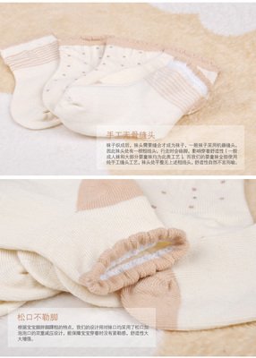 《桑迪》经典观后感集