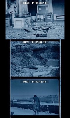 《宫》经典影评10篇