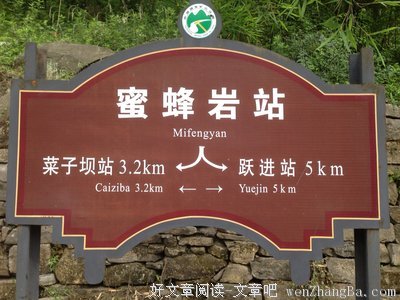 《晃晃悠悠》经典读后感10篇