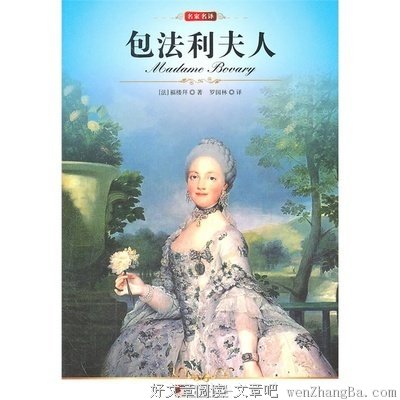 关于包法利的名言