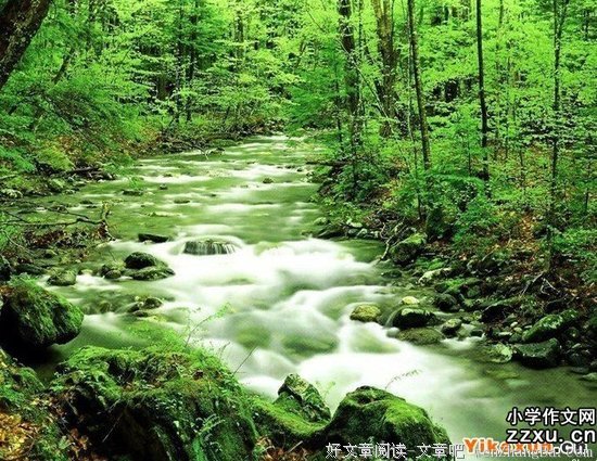 描写生生的经典句子