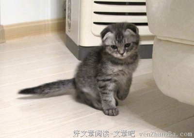 最新的十四阙经典语录