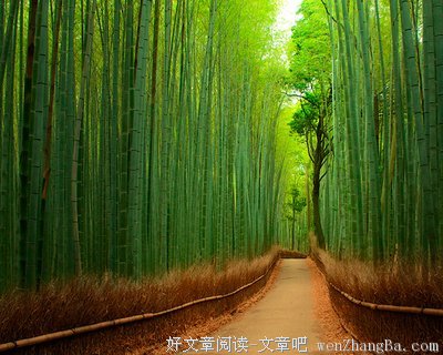 门与路