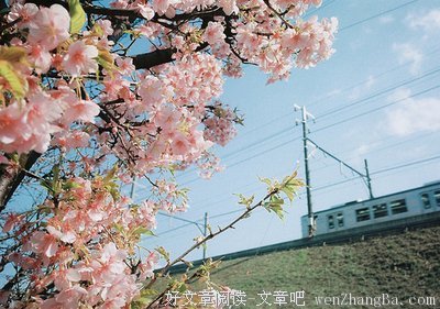 最新的《把时间当作朋友》语录摘抄