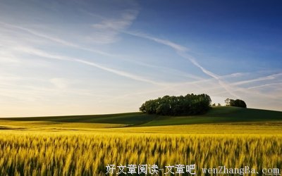 《生活的另一种美好》语录摘抄