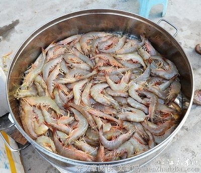 博铺镇的月光