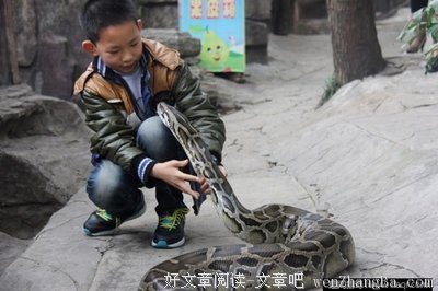 恐惧，那是大自然对你的启示！