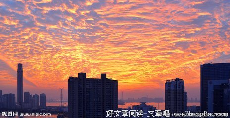 《火烧摩天楼》的观后感10篇