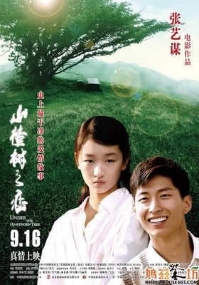《女人帮》好看吗？经典影评10篇