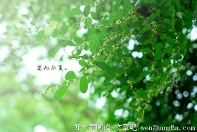 《幸福一定会不请自来》的读后感10篇