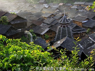 年节将至，谁来救救这些菇凉