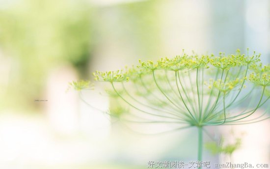 自重格言警句