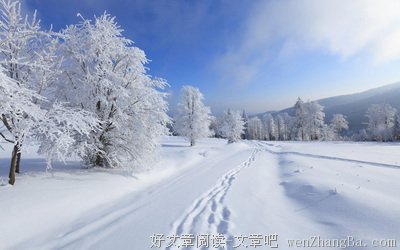 描写白雪皑皑的经典句子