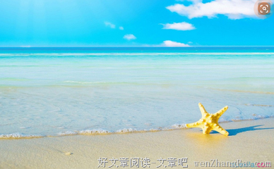 关于先见之明的格言