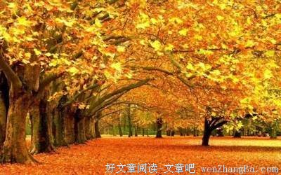 最经典的《围城》名句欣赏大全