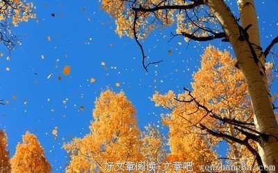 关于立冬的唯美语录