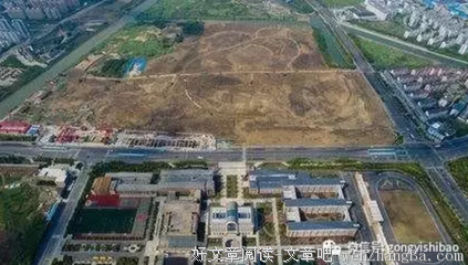 惊人简报：诸多诉讼，抓捕和披露