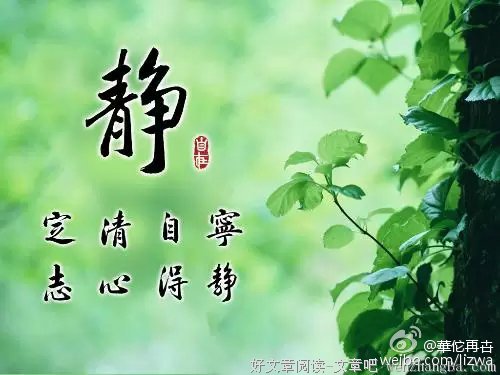 关于弱小的座右铭