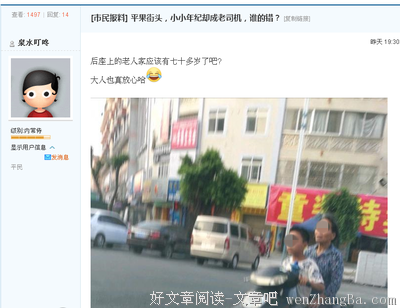 小说：小小老司机