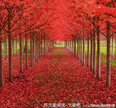 畸形也是世界的一部分（胆小者勿入）