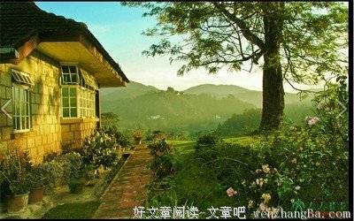 微·新诗 | 杜安乙的诗