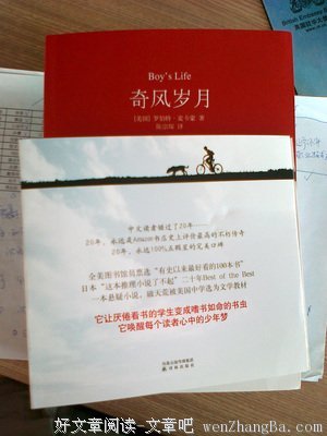 奇风岁月读后感10篇