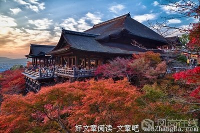 《咱们结婚吧》经典观后感集