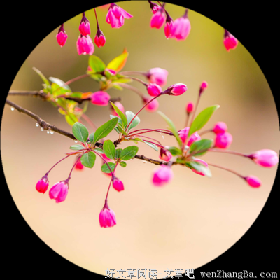 关于逆来顺受的语句