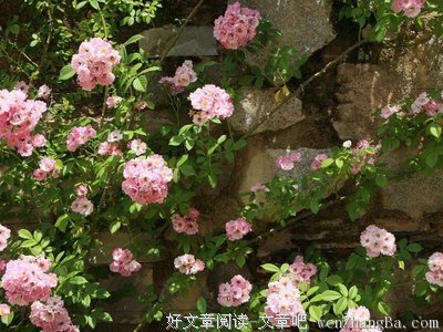 阿瑟·柯南·道尔经典名句