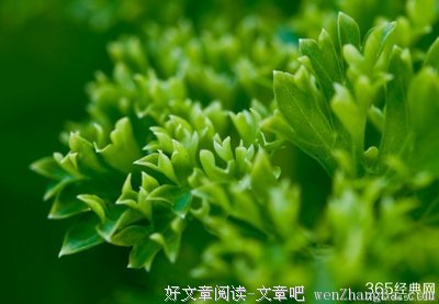 最全的《自决之书》美文摘抄